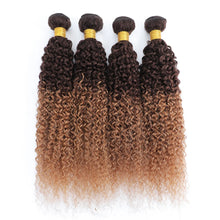 Load image into Gallery viewer, Brazilian Kinky Curly Human Hair Bundles Raw Hair
