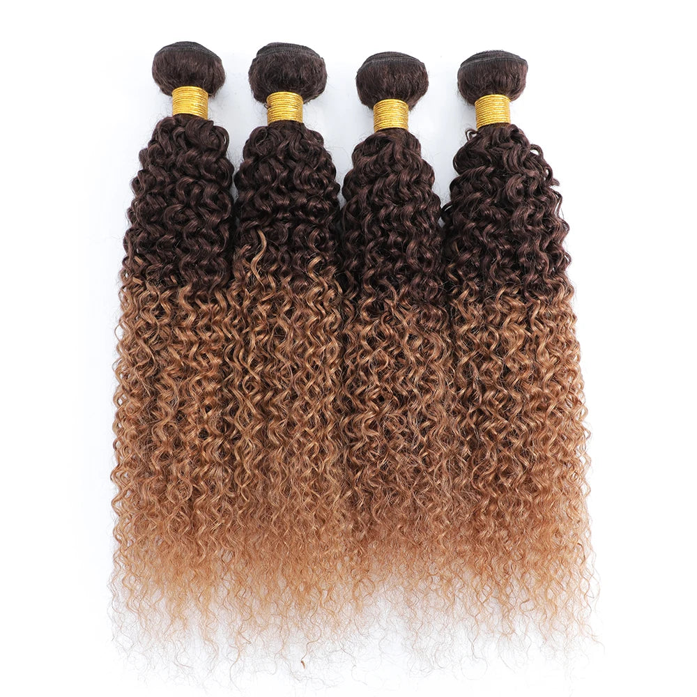 Brazilian Kinky Curly Human Hair Bundles Raw Hair