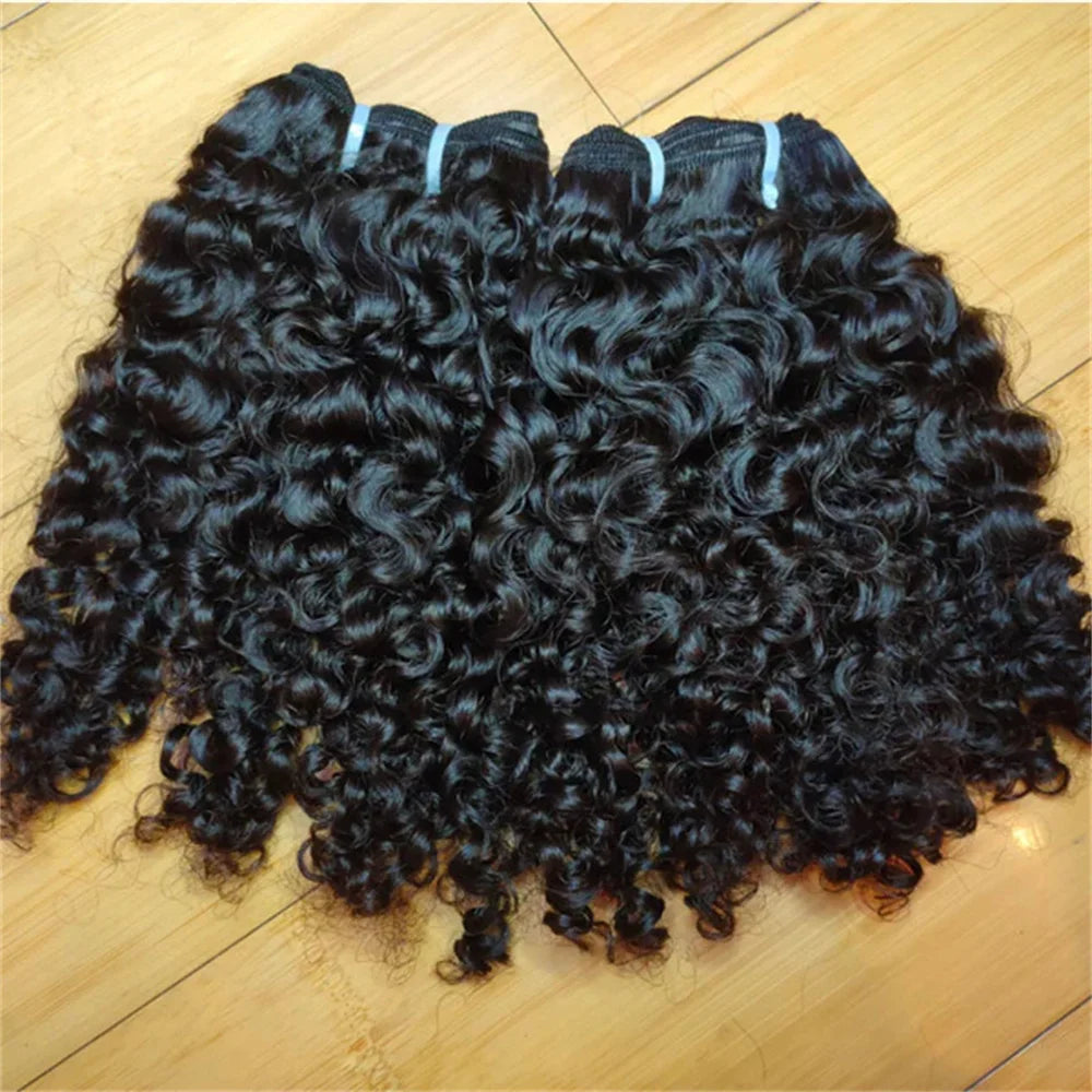 Burmese Curly Raw Human Hair Bundles