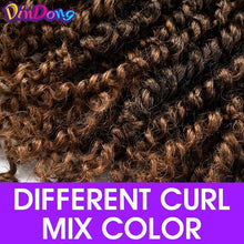 Load image into Gallery viewer, DinDong Passion Twist Crotchet Hair Long Spring Twist braiding Hair Extension Pre-looped Fluffy Synthetic Crochet Braids Hair
